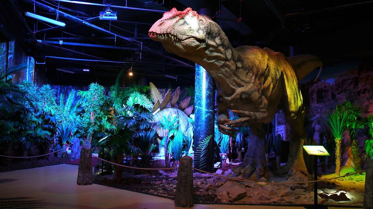 🦖 디노파크 리베레츠